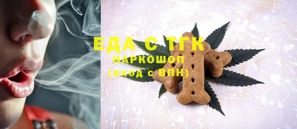 индика Армянск