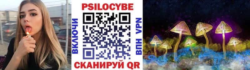где купить наркоту  shop формула  Псилоцибиновые грибы Magic Shrooms  Зеленодольск 